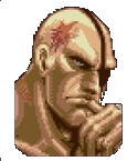 Sagat